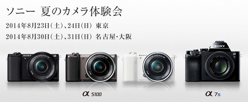 �\�j�[�ẴJ�����̌���