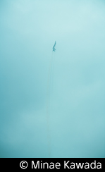 &copy; Minae Kawada