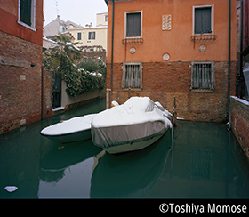 &copy; Toshiya Momose