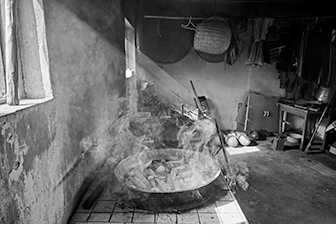 &copy; Yoshinori Nishino