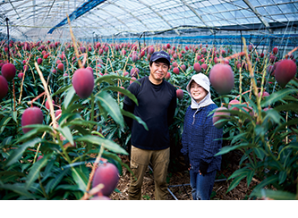 &copy; Yoshinori Nishino