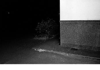 &copy; TAKEFUJI RYUSUKE