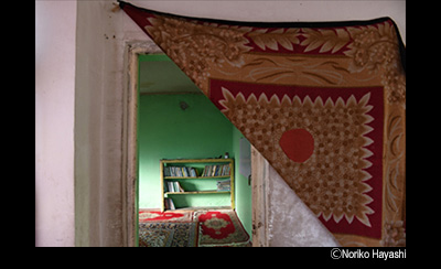 &copy; Noriko Hayashi