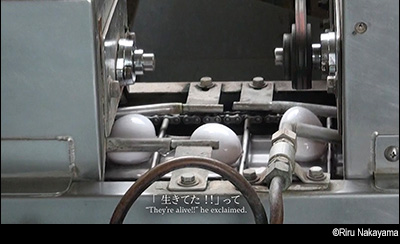 &copy; Riru Nakayama