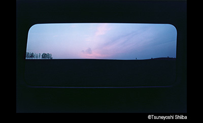 &copy; Tsuneyoshi Shiiba