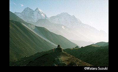 &copy; Wataru Suzuki