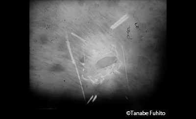 &copy;Tanabe Fuhito