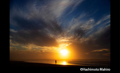 &copy;Hashimoto Mahiro