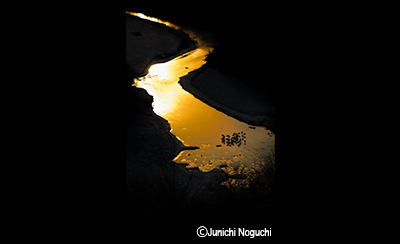 &copy;Junichi Noguchi