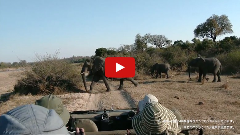 ���[�r�[�T���l�C��