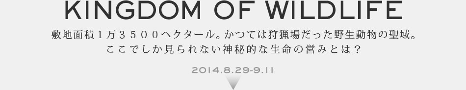 KINGDOM OF WILDLIFE �~�n�ʐςP���R�T�O�O�w�N�^�[���B���Ă͎�ꂾ�����쐶�����̐���B�����ł��������Ȃ��_��I�Ȑ����̉c�݂Ƃ́H 2014.8.29-9.11