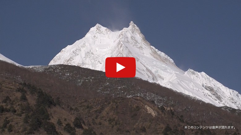 ���[�r�[�T���l�C��