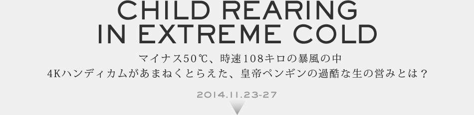 CHILD REARING IN EXTREME COLD �}�C�i�X50���A����108�L���̖\���̒�4K�n���f�B�J�������܂˂��Ƃ炦���A�c��y���M���̉ߍ��Ȑ��̉c�݂Ƃ́H 2014.11.23-27