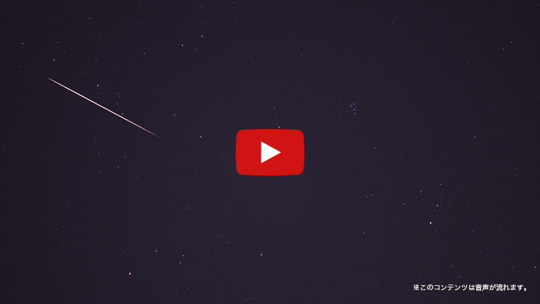 ���[�r�[�T���l�C��