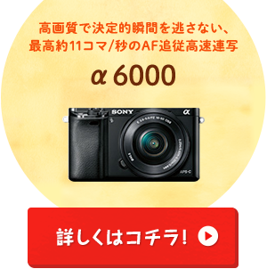 運動会は、ソニーで決まり！｜ソニー