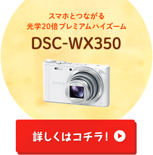 運動会は、ソニーで決まり！｜ソニー