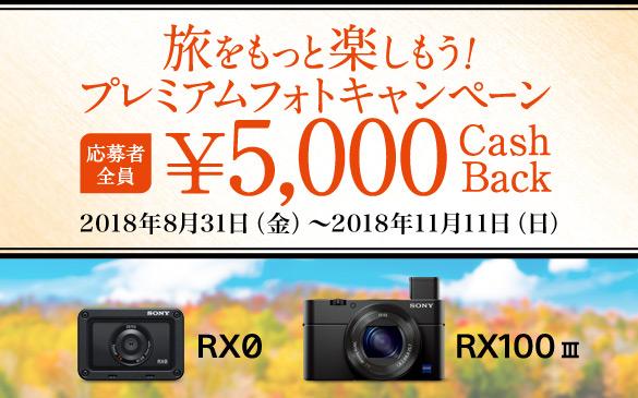 SONY RX100M3】購入から3ヶ月。揃えたアクセサリと写真達。 - さんしゅみ