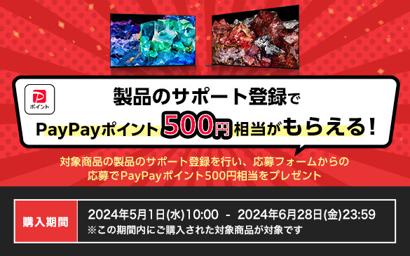 製品のサポート登録でPayPayポイント500円相当がもらえる！