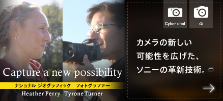 �J�����̐V�����\�����L�����A�\�j�[�̊v�V�Z�p�B