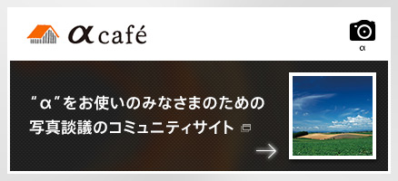 &ldquo;&alpha;&rdquo;�����g���݂̂Ȃ��܂̂��߂̎ʐ^�k�c�̃R�~���j�e�B�T�C�g