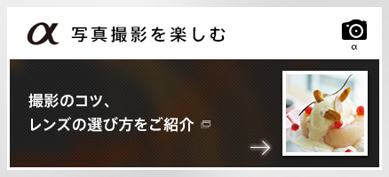 �B�e�̃R�c�A�����Y�̑I�ѕ������Љ�