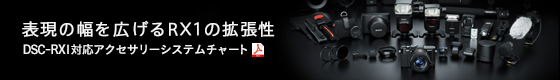 DSC-RX1�Ή��A�N�Z�T���[�V�X�e���`���[�g