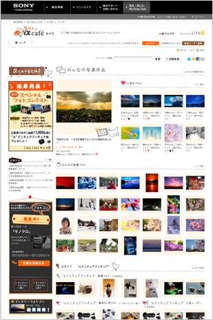 RX100/RX100 II | 商品の活用方法 | デジタルスチルカメラ Cyber