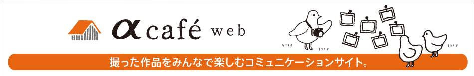 �� cafe �B�����ʐ^���݂�ȂŊy���ރR�~���j�P�[�V�����T�C�g