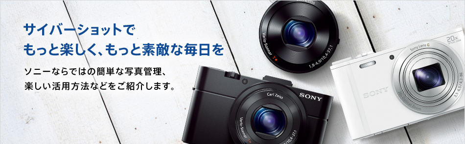 �T�C�o�[�V���b�g�ł����Ɗy�����A�����Ƒf�G�Ȗ�����