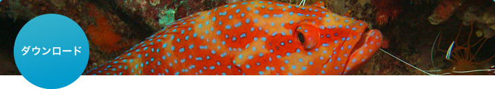 �_�E�����[�h