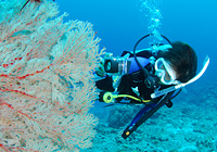 ��������߂Â�