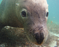 ��ʑ̂�m��