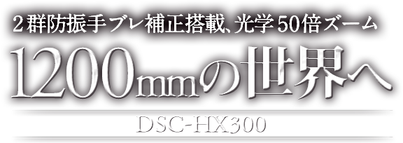 1200mmの世界へ DSC-HX300