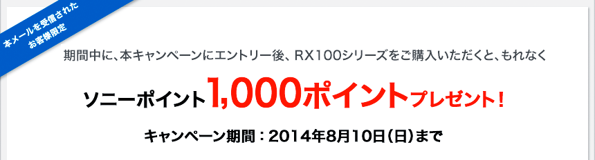 ���Ԓ��ɁA�{�L�����y�[���ɃG���g���[��ARX100�V���[�Y�����w�����������ƁA����Ȃ��\�j�[�|�C���g1,000�|�C���g�v���[���g�I