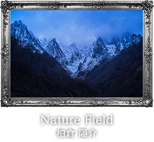 柏倉 陽介 -Nature Field-
