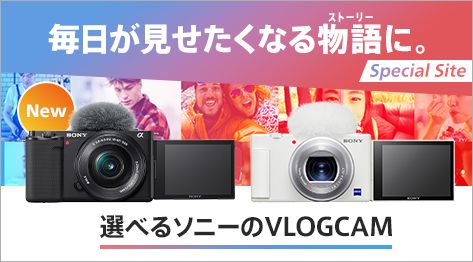 ���������������Ȃ�X�g�[���[�ɁB�I�ׂ�\�j�[��VLOGCAM