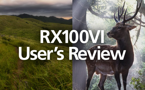 RX100VIのモニター使用によるユーザーレビューをご紹介