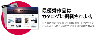 ŗDGi̓J^OɌfڂ܂B ܂ꂽíA2010Nt\́ufW^X`JJ^OvɌfڂ܂