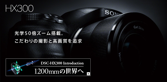 DSC HX300