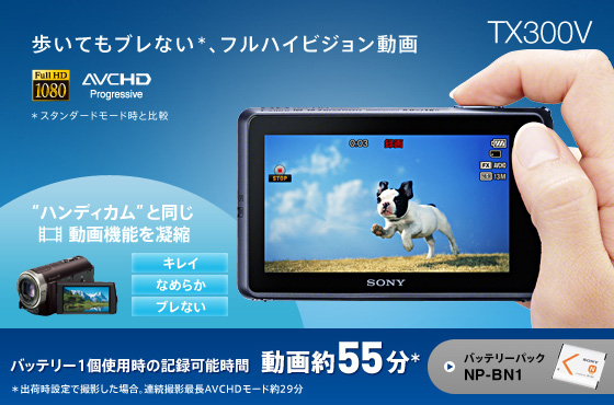 Dsc Tx300v 特長 フルハイビジョン動画撮影 デジタルスチルカメラ Cyber Shot サイバーショット ソニー