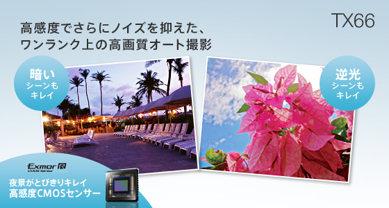 xłɃmCY}AN̍掿I[gBe