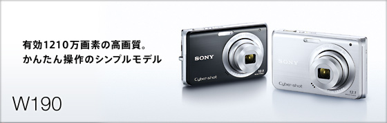 【良品】SONY ソニー デジタルカメラ Cybershot W190 (1210万画素/光学x3/デジタルx6/シルバー) DSC-W190/S #LE2023690