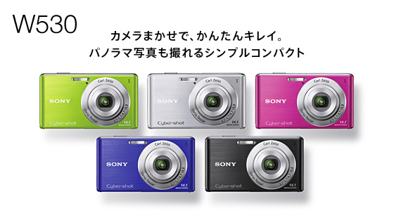 カメラ デジタルカメラ DSC-W530 | デジタルスチルカメラ Cyber-shot サイバーショット | ソニー