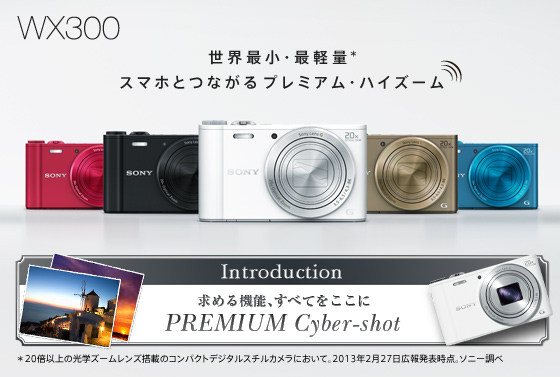 DSC-WX300 | デジタルスチルカメラ Cyber-shot サイバーショット | ソニー