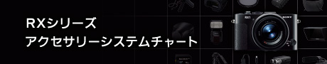 RXシリーズ アクセサリーシステムチャート