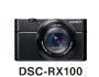 DSC-RX100
