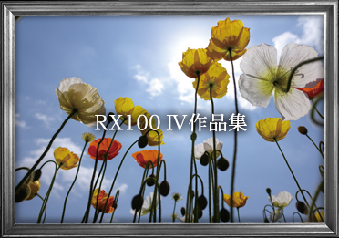 RX100IV iW