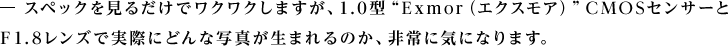 �@ �X�y�b�N�����邾���Ń��N���N���܂����A1.0�^�gExmor�i�G�N�X���A�j�hCMOS�Z���T�[�Ƃe1.8�����Y�Ŏ��ۂɂǂ�Ȏʐ^�����܂��̂��A���ɋC�ɂȂ�܂��B