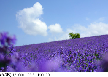 (作例5) 1/1600|F3.5|ISO100