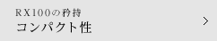 RX100 RpNg